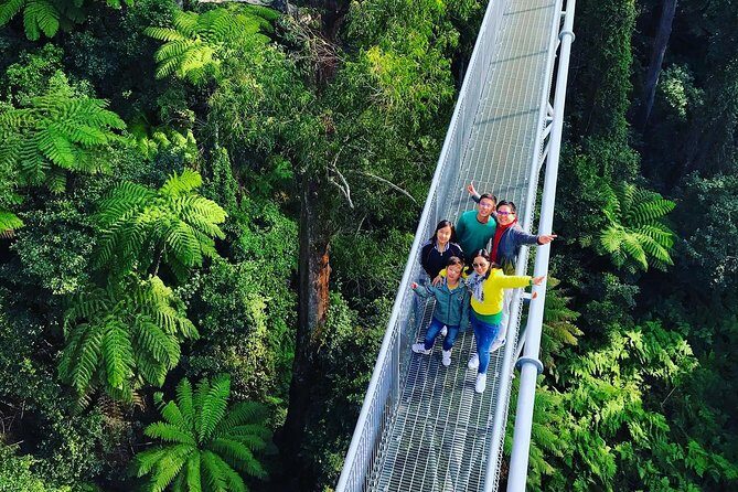 Waves Waterfalls and Wineries Full-Day Southern Highlands Private Tour - Who Should Consider This Tour?