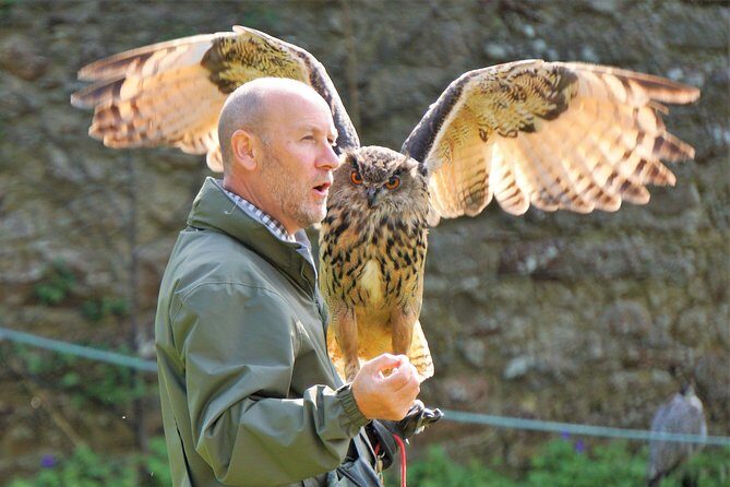 Way Up North Invergordon Shore Excursion-Castle Tickets Included - Who Will Appreciate This Tour?