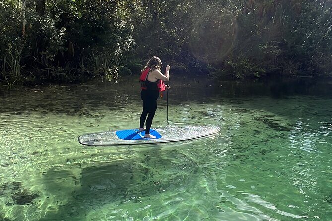 Weeki Wachee Clear Paddle Board Ecotours - Practical Tips for a Great Experience