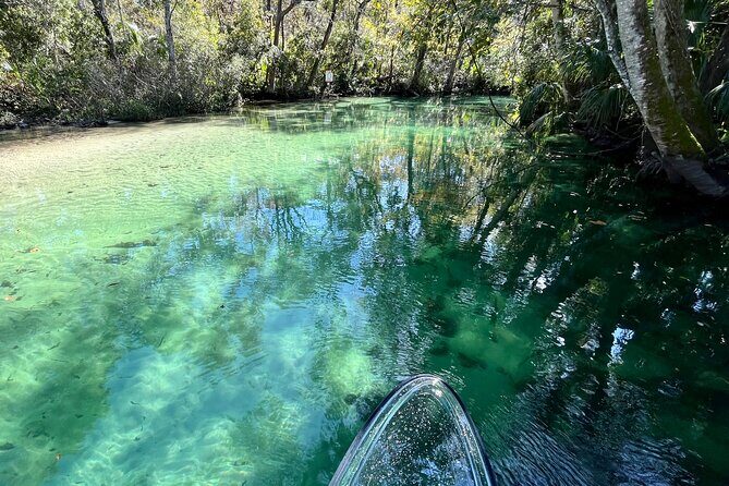 Weeki Wachee Clear Paddle Board Ecotours - Final Thoughts