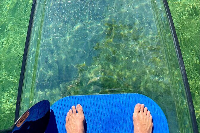 Weeki Wachee Clear Paddle Board Ecotours - FAQ