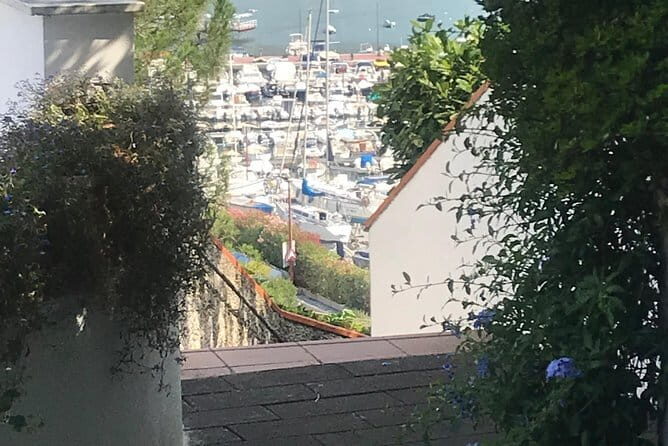 Weekly tours - The Sum Up