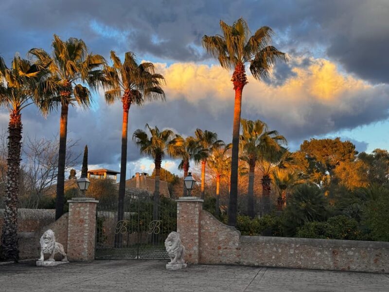 Weinsonntag auf Mallorca - Key Points