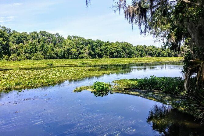 Wekiva Wildlife Kayaking Adventure Tour - Key Points