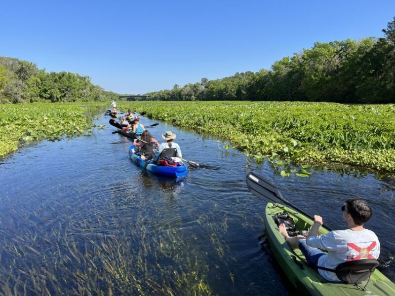 Wekiva Wildlife kayaking Adventure Tour - Who Should Consider This Tour?