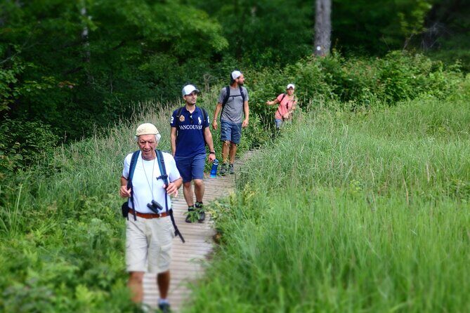 Welcome To Camping At Algonquin Park (2 Day) - An In-Depth Look at the Experience