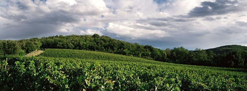 Welcome to Casale del Bosco - Value and Price Analysis