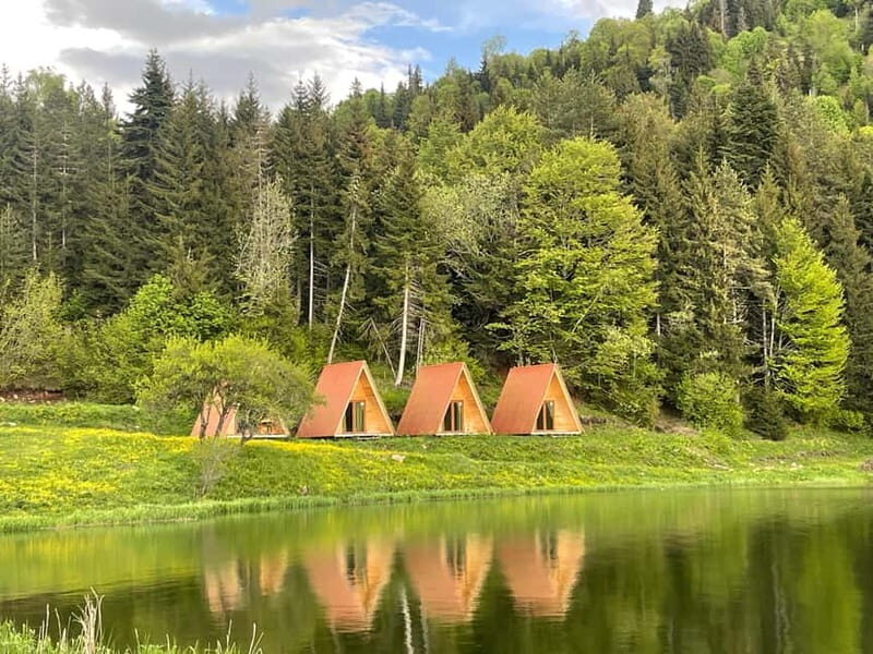 welcome to georgia discover together - The Value of the Experience