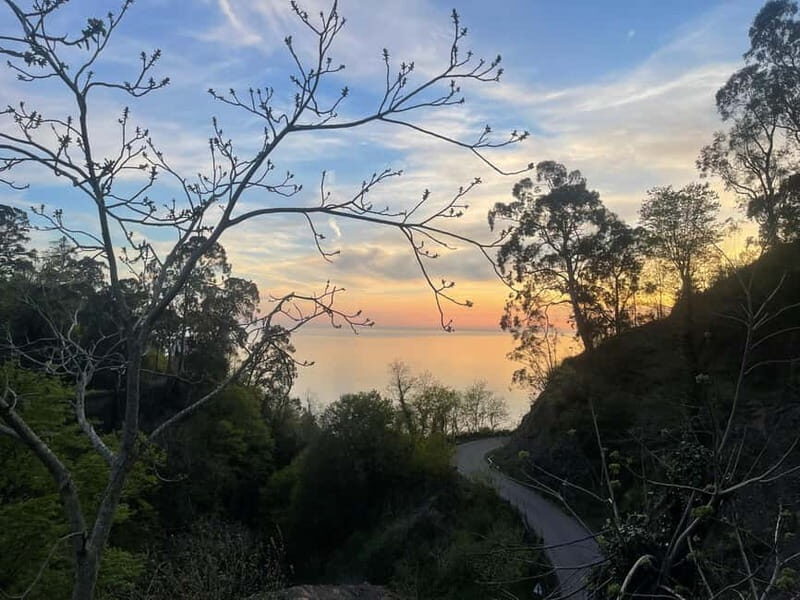 welcome to georgia discover together - An In-Depth Look at the "Welcome to Georgia Discover Together" Tour