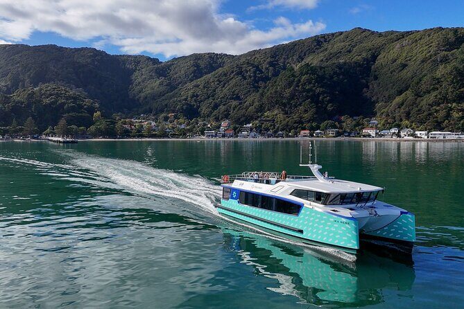 Wellington 90 minute Harbour Cruise - An Environmentally Friendly Way to See Wellington Harbour