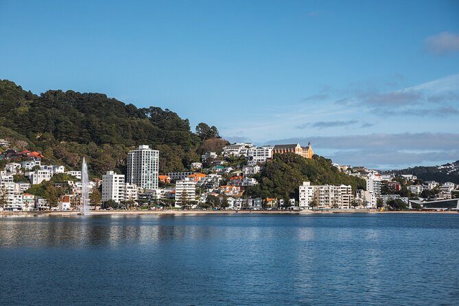 Wellington 90 minute Harbour Cruise - What to Expect During Your Cruise