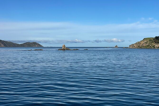 Wellington 90 minute Harbour Cruise - Value for Money