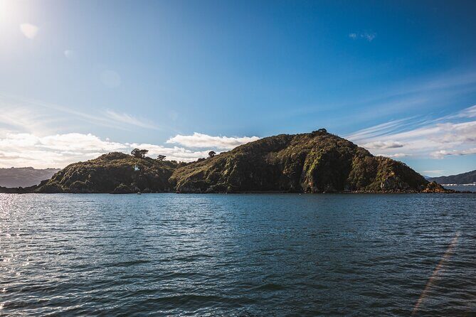Wellington 90 minute Harbour Cruise - FAQ
