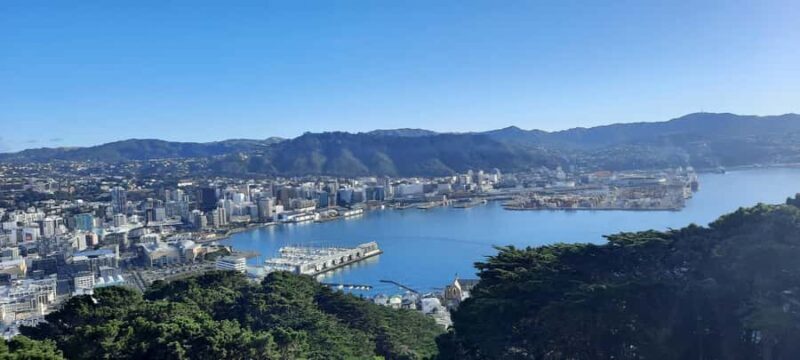 Wellington: Cave to Coast Highlights Guided Tour - A Closer Look at the Itinerary