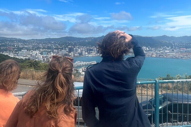 Wellington City and Sea: Private Tour in Electric Tesla SUV - Who Should Consider This Tour?