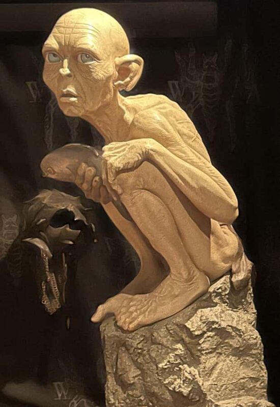 Wellington city heights private sightseeing tour - Cultural and botanical highlights