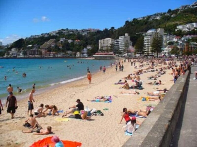 Wellington city heights private sightseeing tour - Practical details and value