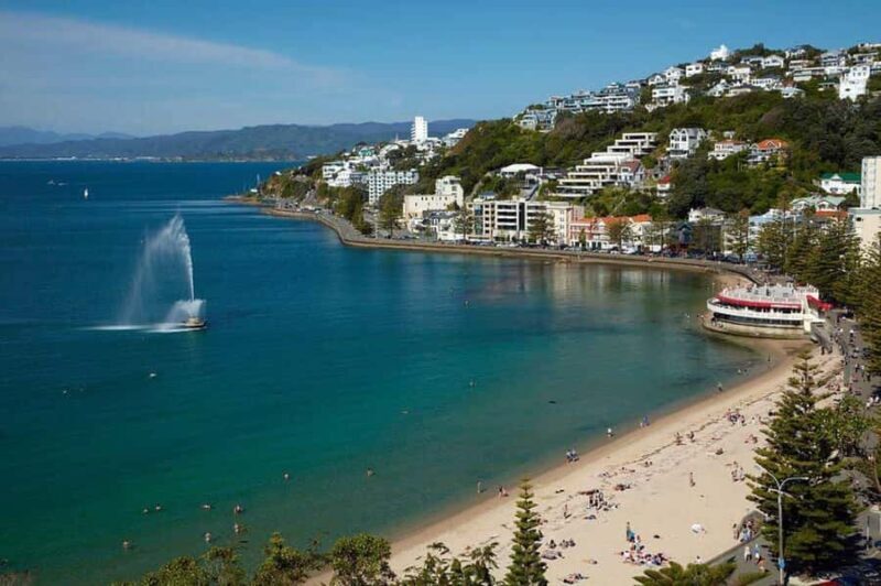Wellington city heights private sightseeing tour - Summary