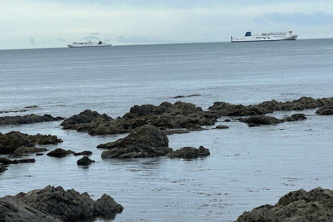 Wellington city heights shared sightseeing tour - What Travelers Say About the Tour