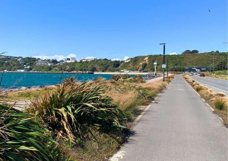 Wellington: Electric Bike Rental - Authentic Experiences and Practicalities