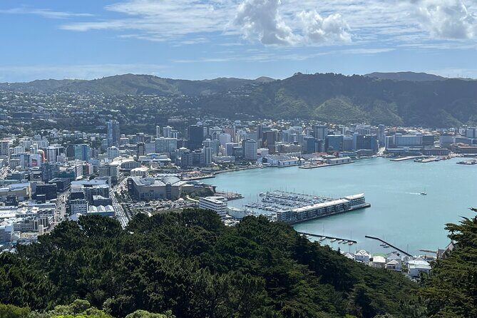 Wellington Full Day Private Tour in Electric Tesla SUV - Key Points