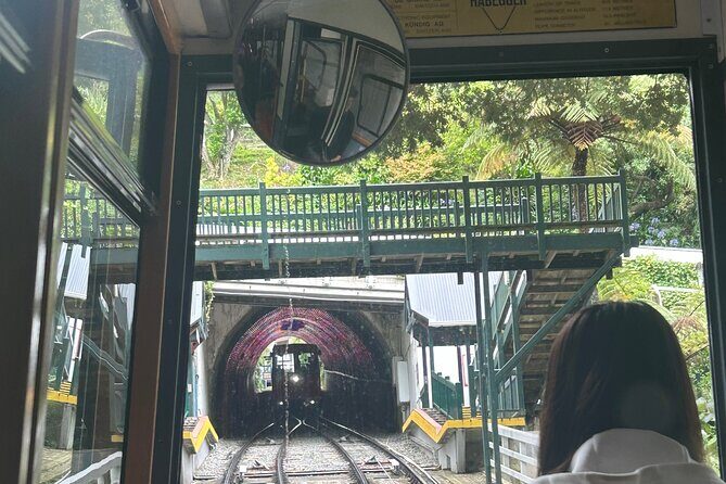 Wellington Full Day Private Tour in Electric Tesla SUV - Frequently Asked Questions