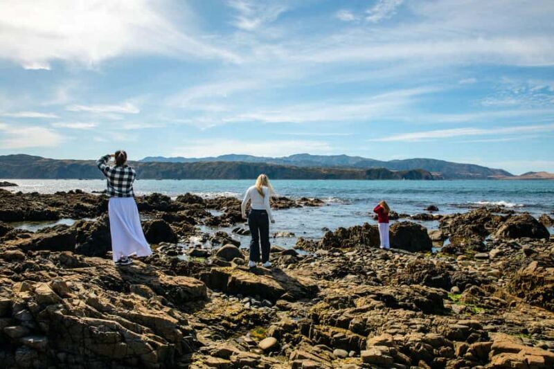 Wellington: Guided City Tour with Cable Car Ticket - A Practical Overview of the Tour