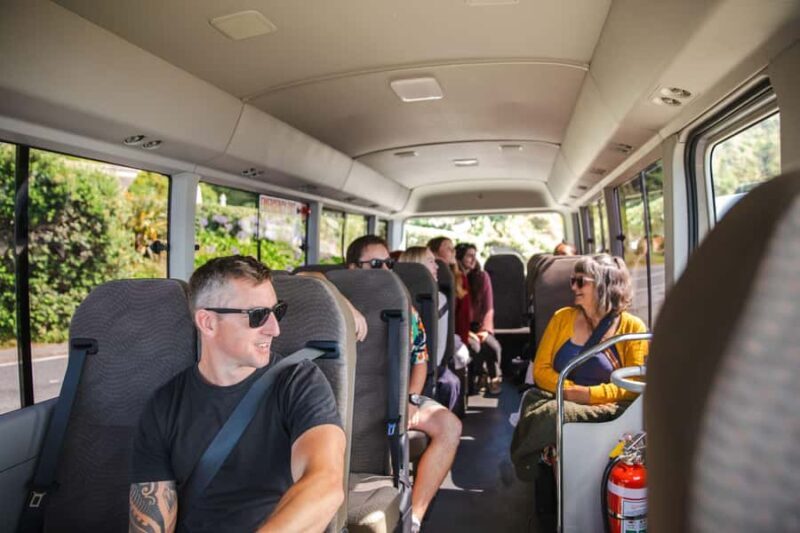 Wellington: Guided City Tour with Cable Car Ticket - The Sum Up: Is this Tour Right for You?