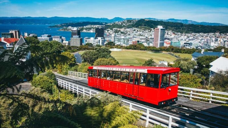 Wellington: Highlights Tour with a Local Guide - Key Points