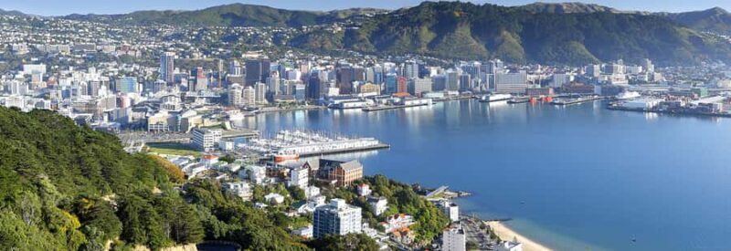 Wellington: Highlights Tour with a Local Guide - What We Loved and What to Consider