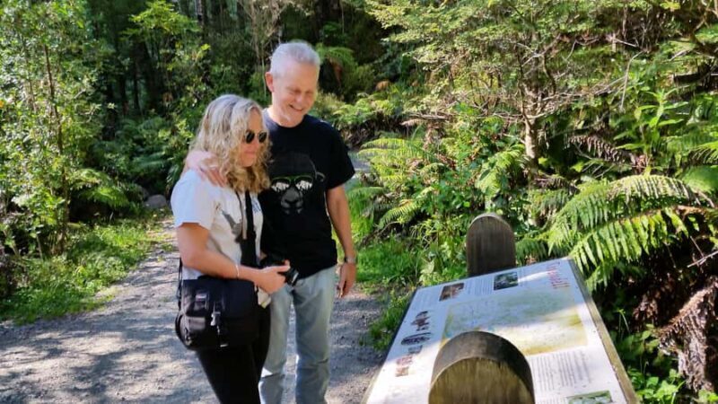 Wellington: Lord of the Rings Filming Locations Tour - Who Should Consider This Tour?