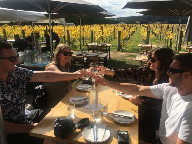 Wellington: Martinborough Private Winery Tour with Lunch - A Closer Look at the Itinerary and Highlights