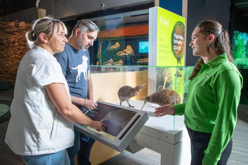 Wellington: Museum of NZ Intro Tour & General Admission - The Highlights of the Museum Experience