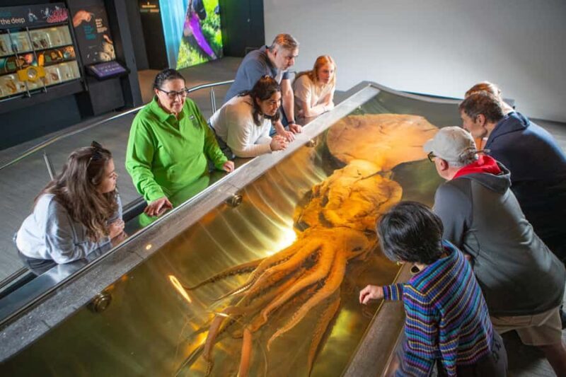 Wellington: Museum of NZ Intro Tour & General Admission - Practical Tips for Visitors