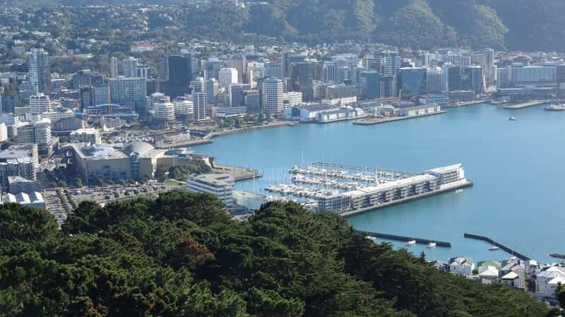 Wellington: Original LOTR Half-Day Experience with Weta - What to Expect from the Wellington LOTR Tour