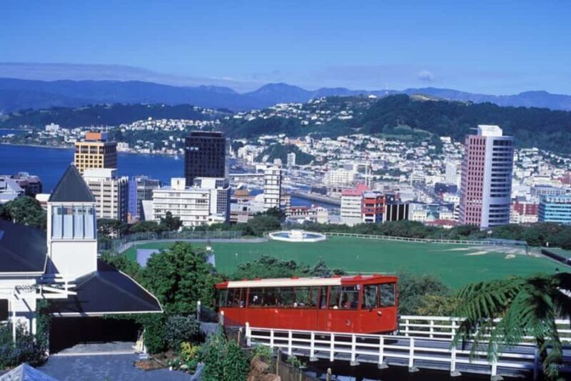 Wellington: Private custom tour with a local guide - Key Points