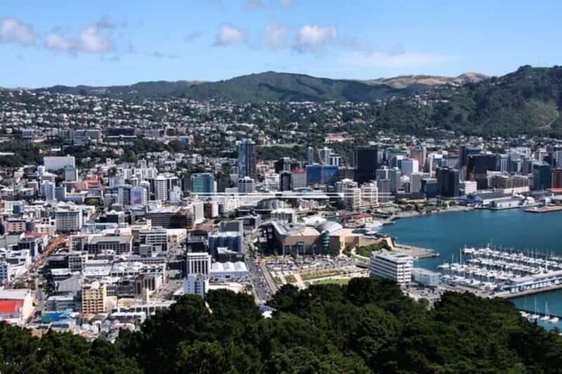 Wellington: Private custom tour with a local guide - What You Can Expect from the Tour