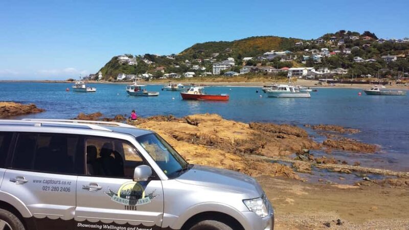 Wellington: Private Day Tour with Lunch - Key Points