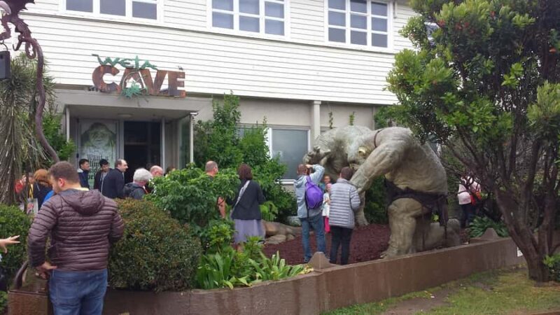 Wellington: Private Day Tour with Lunch - The Itinerary in Detail