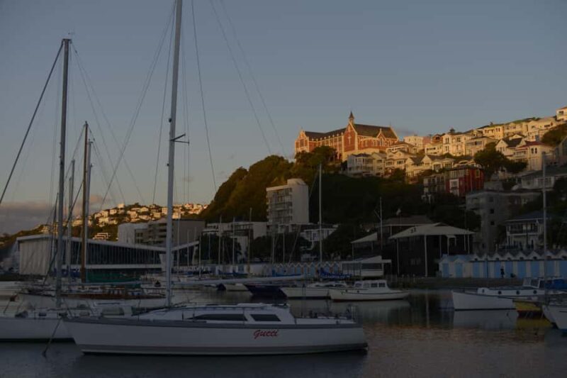 Wellington: Private Day Tour with Lunch - The Experience for Different Travelers