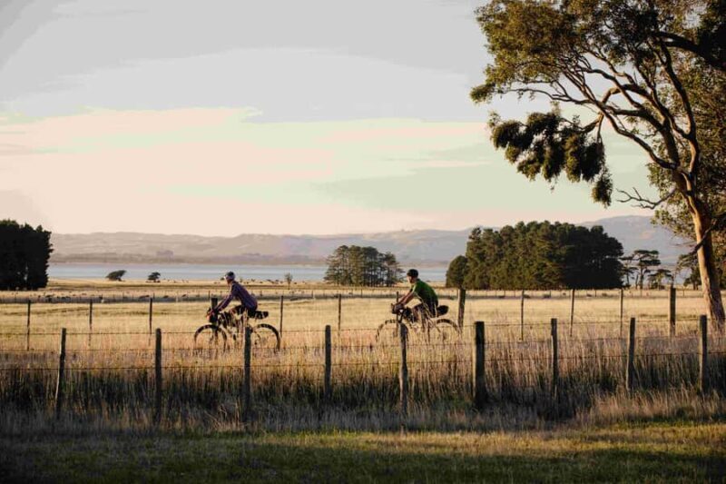 Wellington: Remutaka Rail Trail Cycle Tour - The Itinerary: From Wellington to Wairarapa’s Scenic Trails
