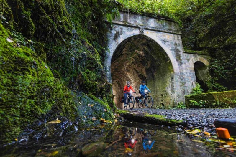 Wellington: Remutaka Rail Trail Cycle Tour - Authentic Experiences