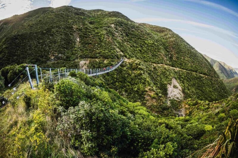 Wellington: Remutaka Rail Trail Cycle Tour - The Value: Price and Practicality