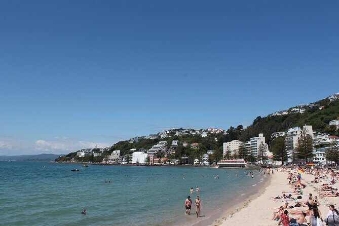 Wellington Scenic Full Day Tour - Final Thoughts: Who Should Consider This Tour?