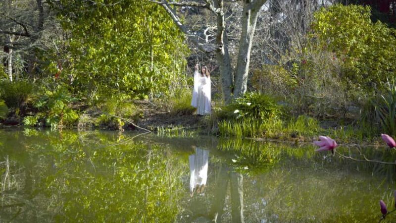 Wellington: Secret Realms of Middle-earth - Lothlorien - Who Should Consider This Tour?