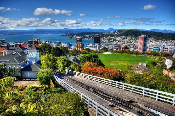 Wellington Shore Excursion City Sightseeing Tour - What the Reviews Say