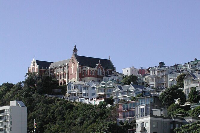 Wellington Shore Excursion City Sightseeing Tour - FAQ