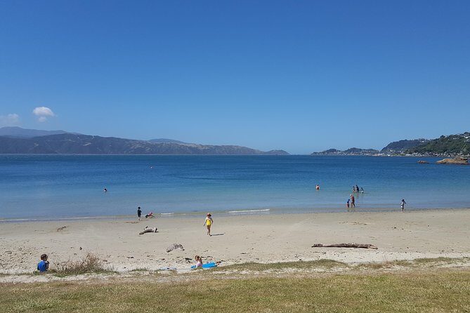 Wellington Shore Excursion: From Cave to Coast Highlights Private Tour - Final Thoughts