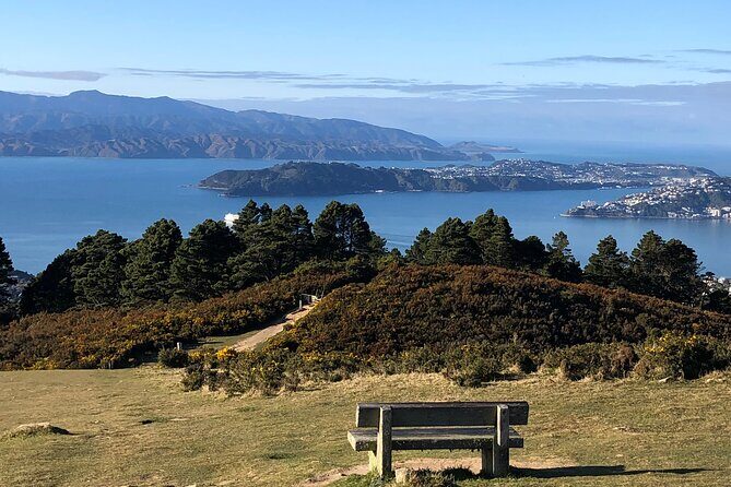 Wellington: Wild Skyline Guided Hiking Tour, Transfers + Lunch - Key Points