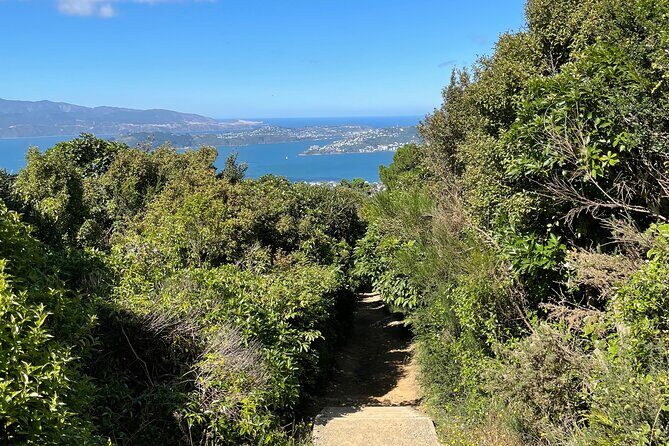 Wellington: Wild Skyline Guided Hiking Tour, Transfers + Lunch - The Sum Up: Who Should Sign Up?